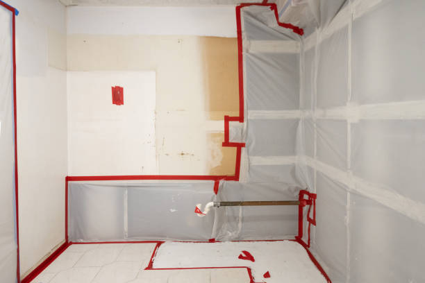 Best Mold Odor Removal Services  in Dexter, OR
