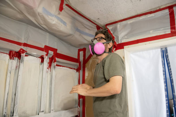 Best Biohazard Mold Removal  in Dexter, OR