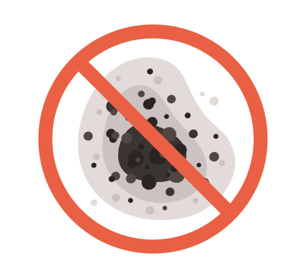 Forensic Mold Investigation in Dexter, OR